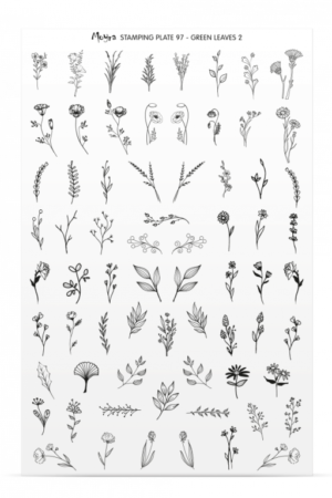 Stamping Plate -  097 Green Leaves 2 - Try On Sheet