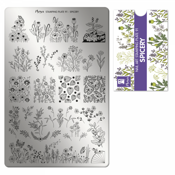 Stamping Plate - 091 Spicery